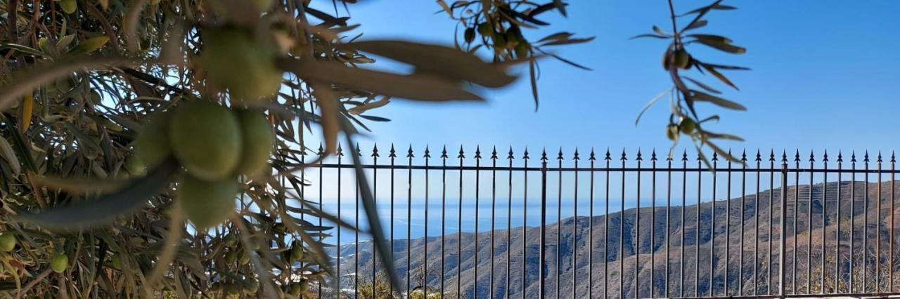 Cortijo Blanco Villa Albondon Buitenkant foto