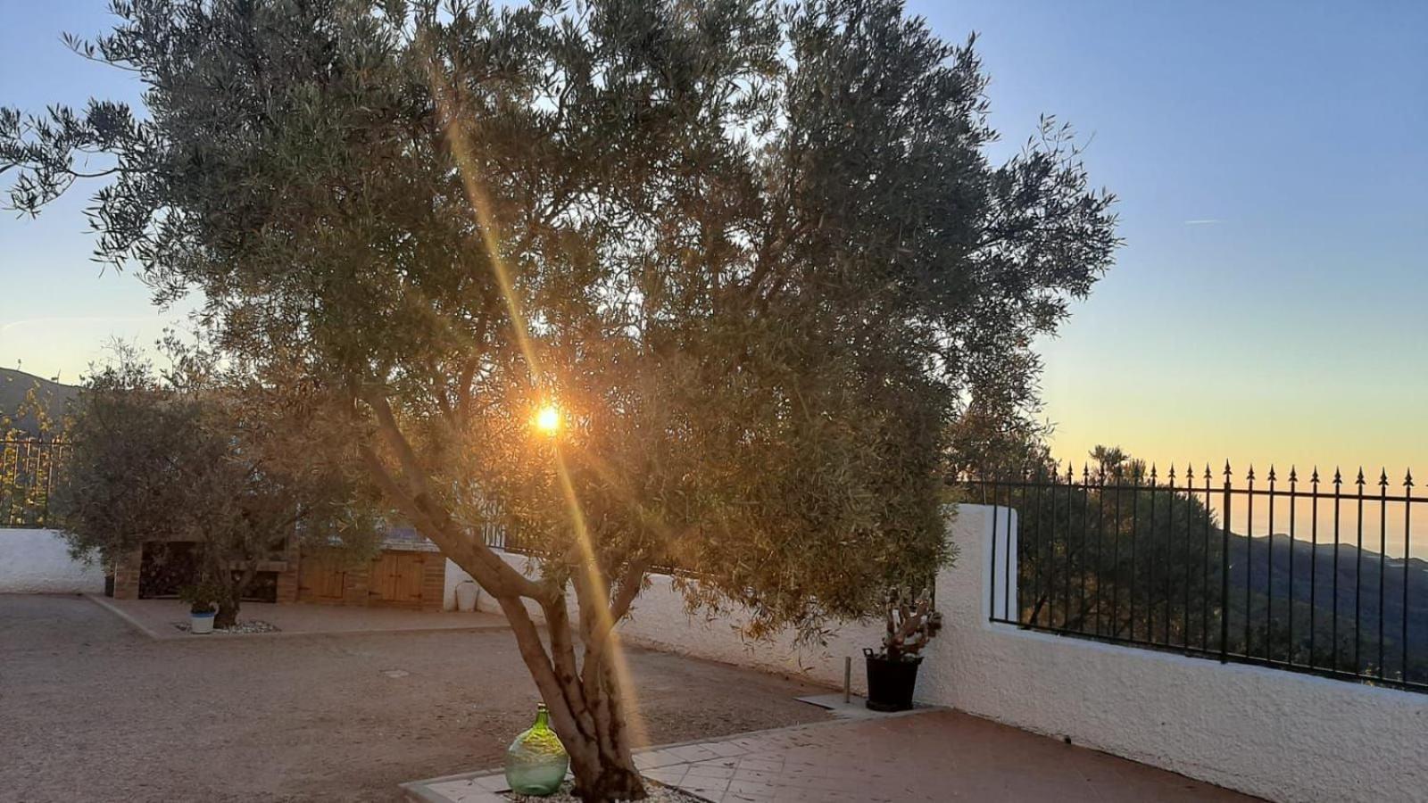 Cortijo Blanco Villa Albondon Buitenkant foto