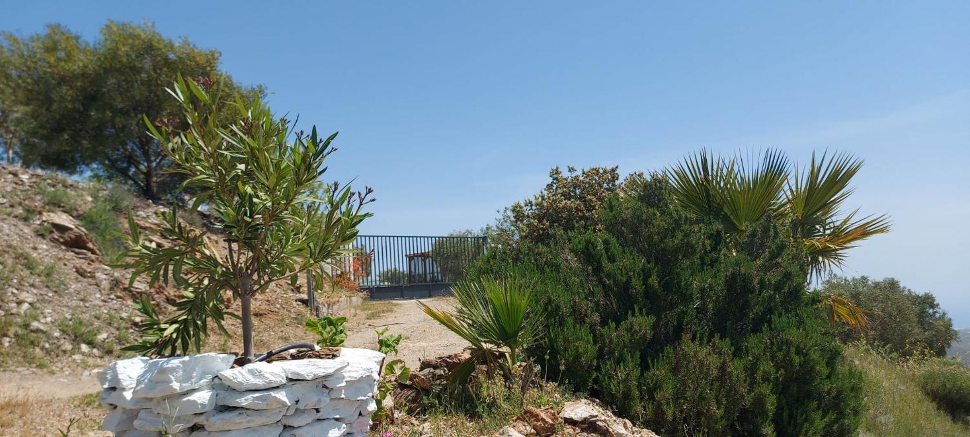 Cortijo Blanco Villa Albondon Buitenkant foto