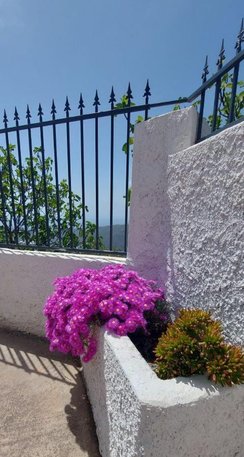 Cortijo Blanco Villa Albondon Buitenkant foto